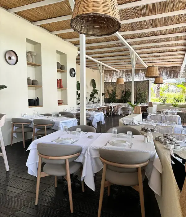 SAYFİYE RESTAURANT - Leta Sandalye